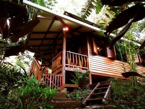 Las Ranitas in Puerto Viejo De Talamanca, Costa Rica