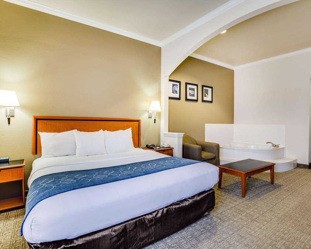 Comfort Suites Deer Park Pasadena - photo 17