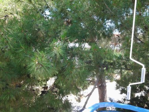 Anastasia Studios in Unknown City, Greece