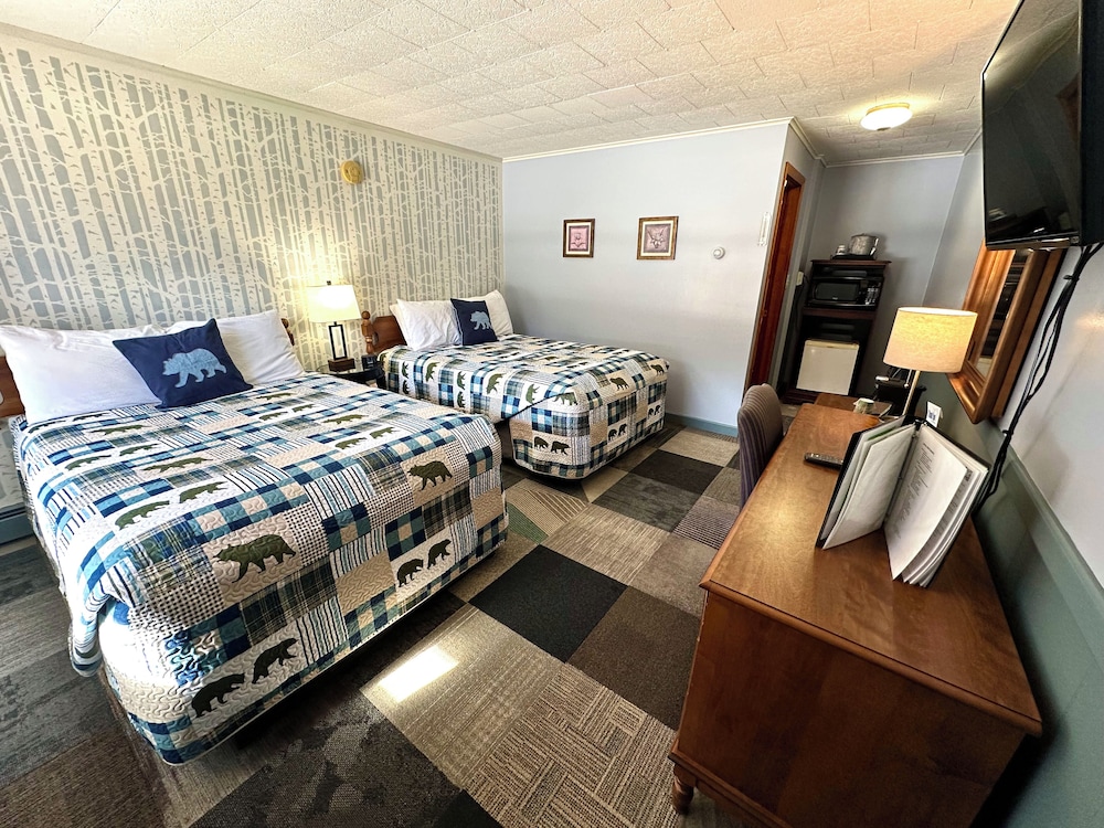 White Mountain Motel And Cottages - photo 29