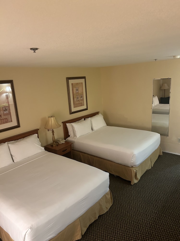 Holiday Inn Express Las Vegas Nellis by IHG - photo 9