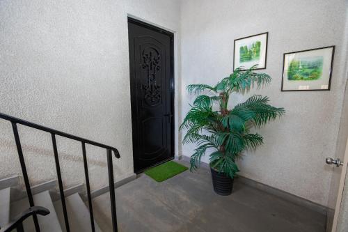 Brand New Apartment with Terrace