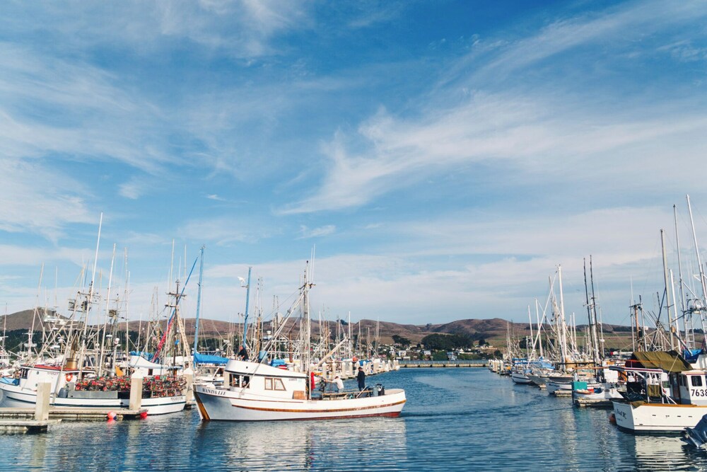 Bodega Coast Inn and Suites - photo 54