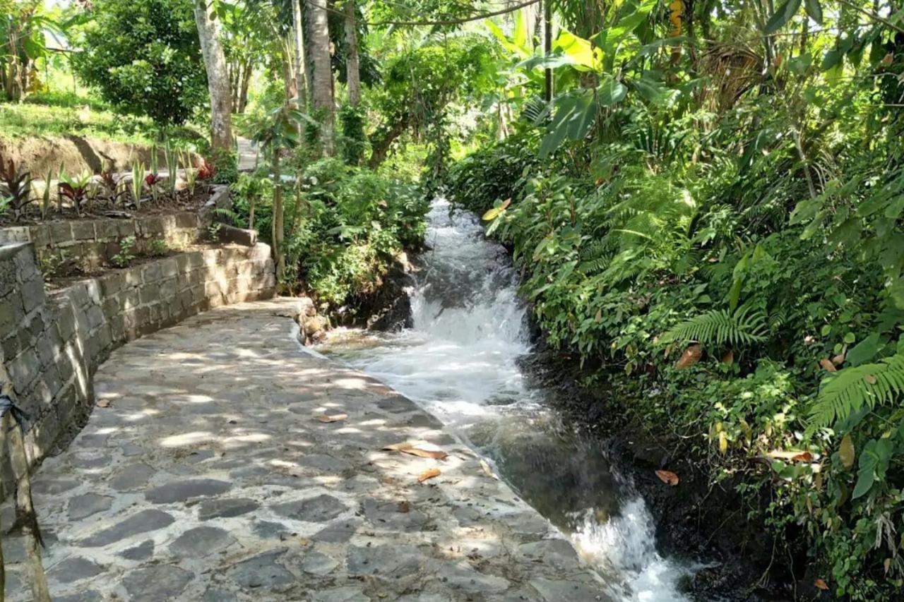 Eco Hut By Valley And 7 Waterfalls — Sukasada