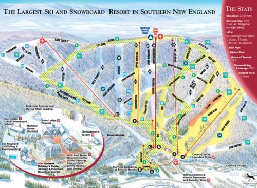 Disney Magic at Jiminy Mountain - photo 36