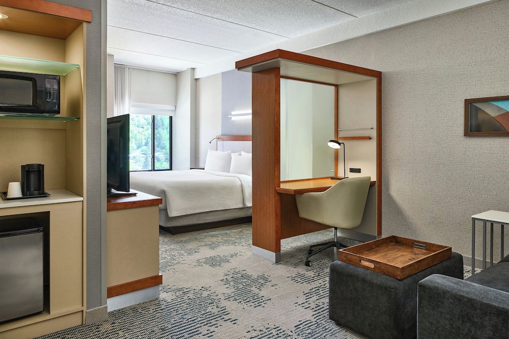 SpringHill Suites by Marriott Deadwood - photo 12