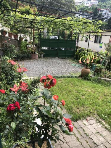 Chalet Ochos Qokhi