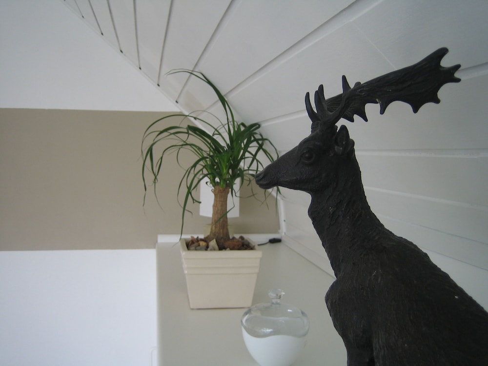 Haus Tourneur — Beckum — photo 5