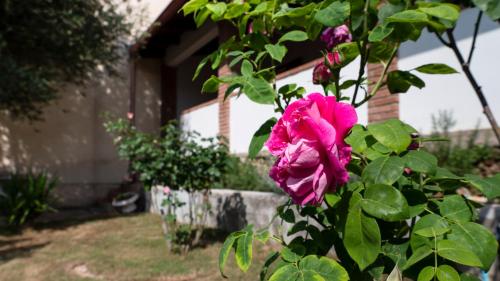 Casa di Elena in Iglesias — 4-Star Luxury Hotel in Iglesias, Italy