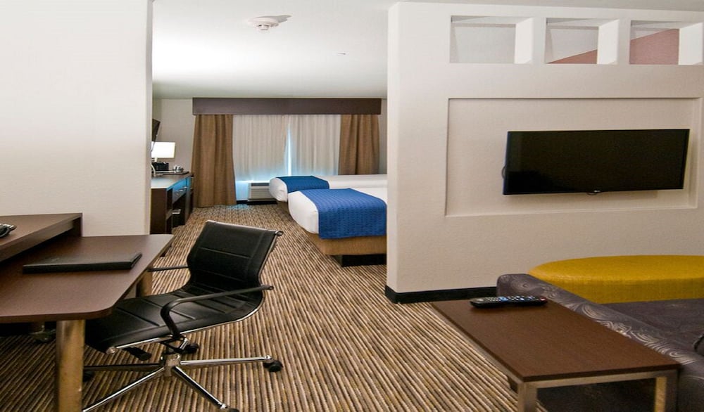 Holiday Inn Austin Airport by IHG - photo 11