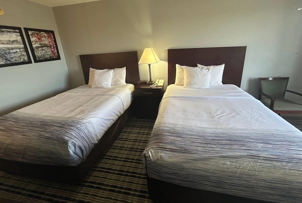 AmericInn by Wyndham Mosinee Central Wisconsin Airport - photo 10