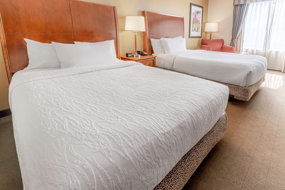 Hilton Garden Inn Houston The Woodlands - photo 7