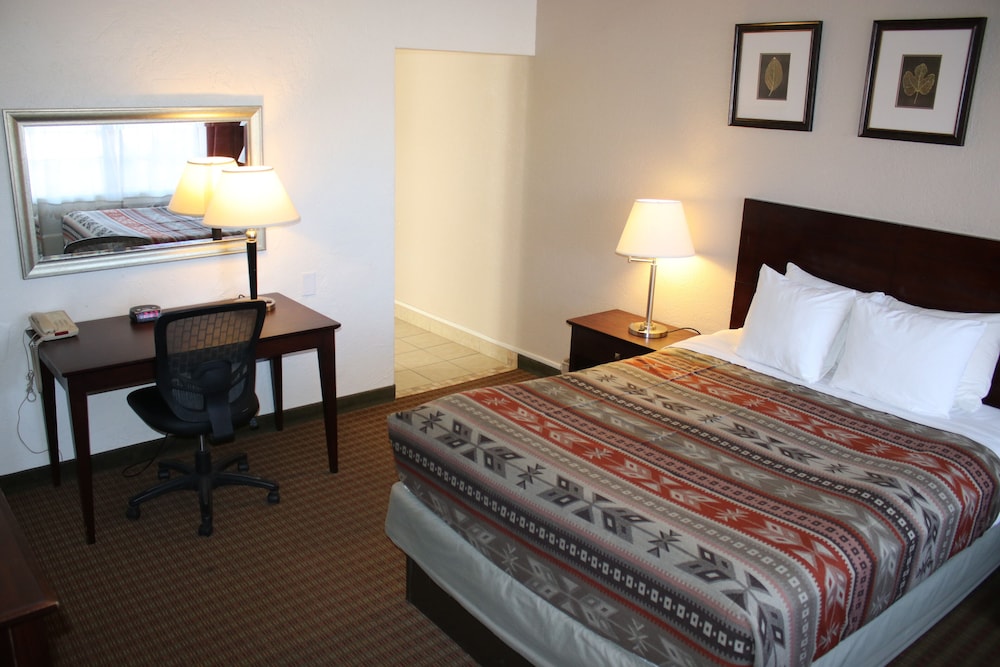 The Classic Desert Aire Hotel - photo 19