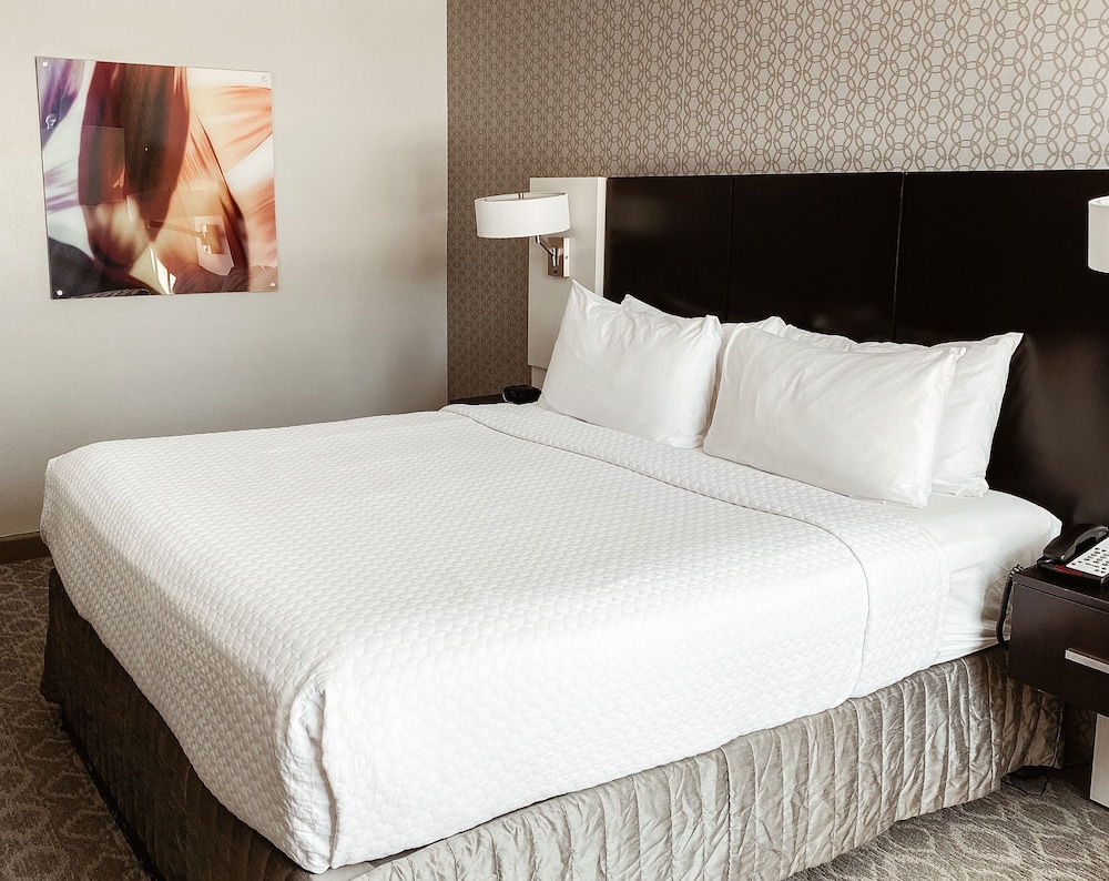 Crowne Plaza Chicago SW Burr Ridge by IHG - photo 8