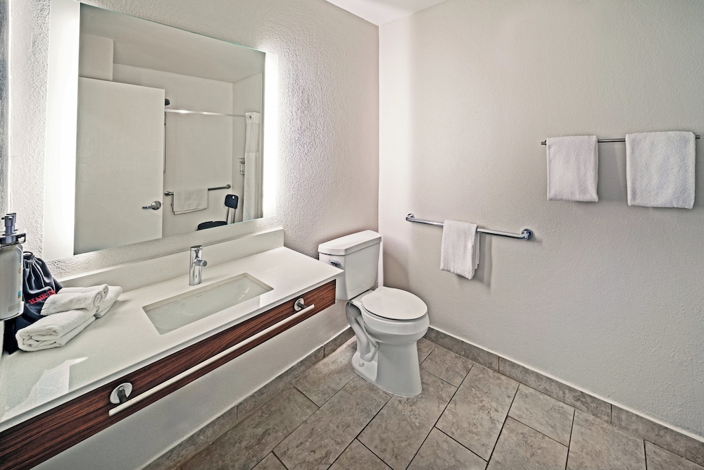 Holiday Inn Express & Suites Del Rio by IHG - photo 18