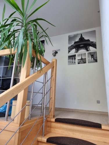 Pokoje na Jasełkowej in Szczecin, Poland