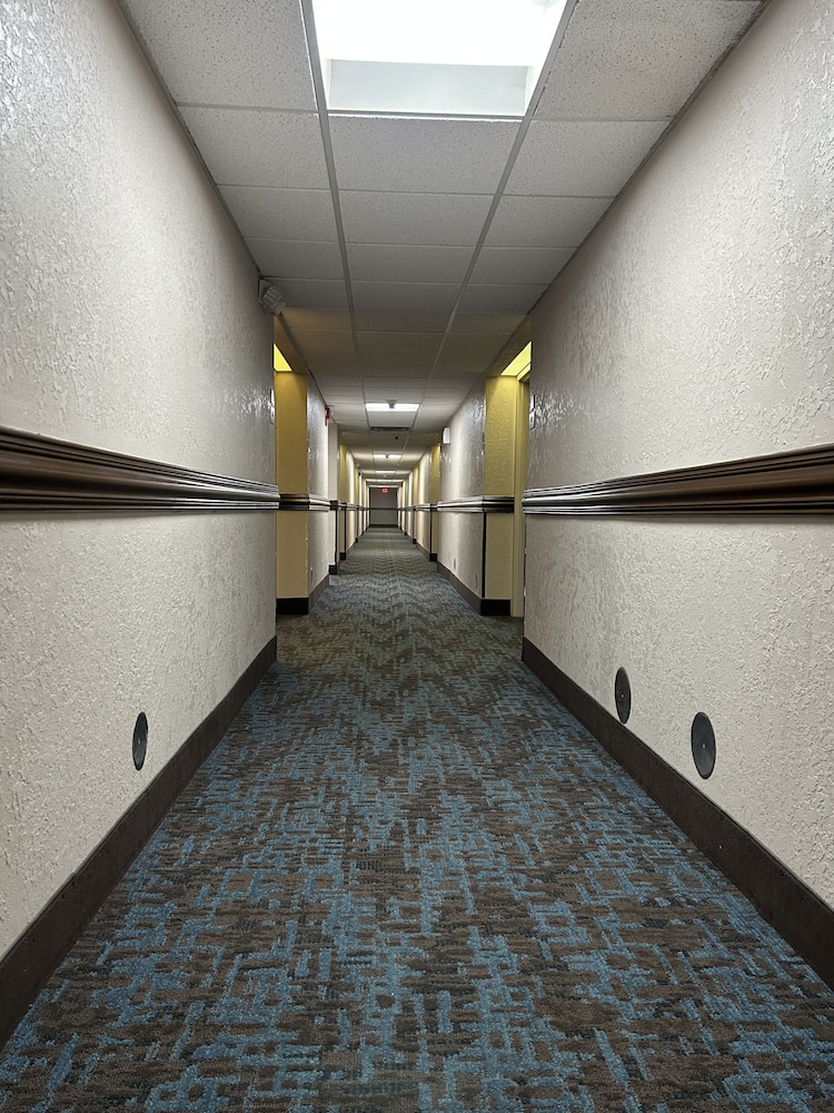 Clarion Inn & Suites Grand Rapids Airport - photo 74