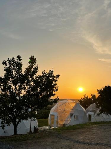 Transylvania WINE — 4-Star Luxury Hotel in Turda, Romania