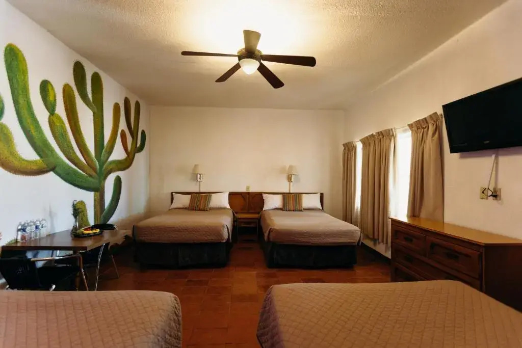 Hotel Las Palmas — San Felipe — photo 3