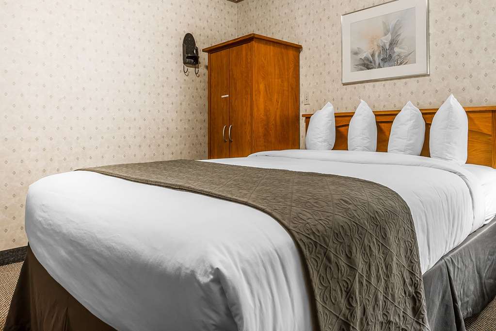 Quality Inn & Suites Silicon Valley - photo 36