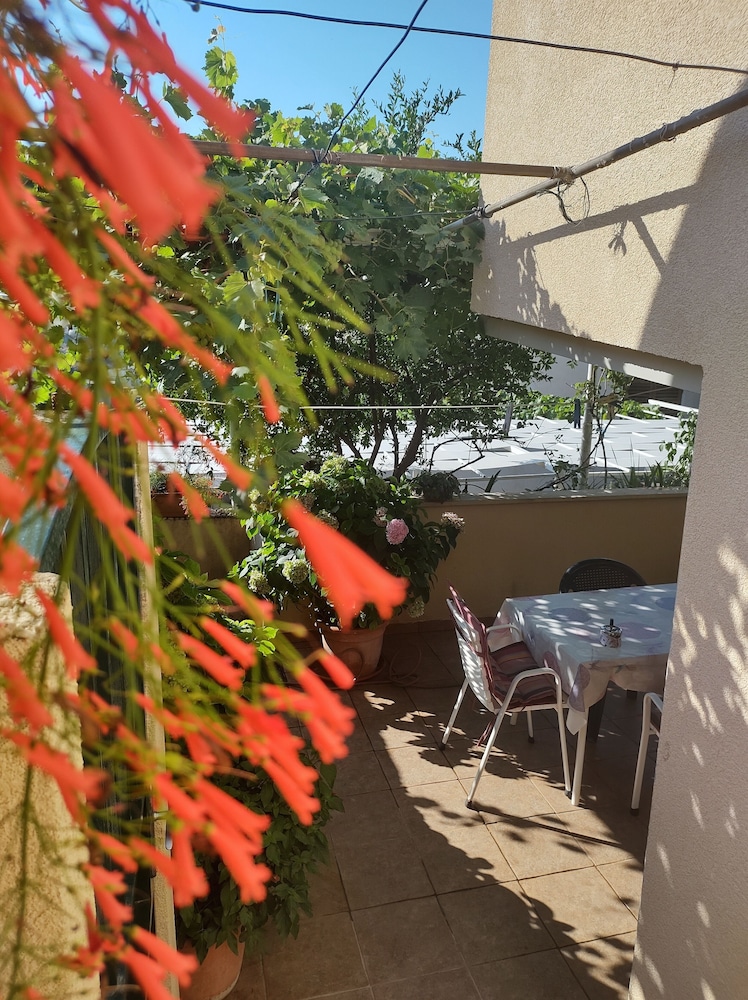 Anna Guesthouse