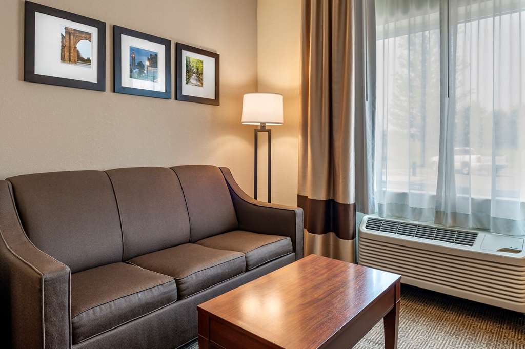 Comfort Suites Columbus West Hilliard - photo 24