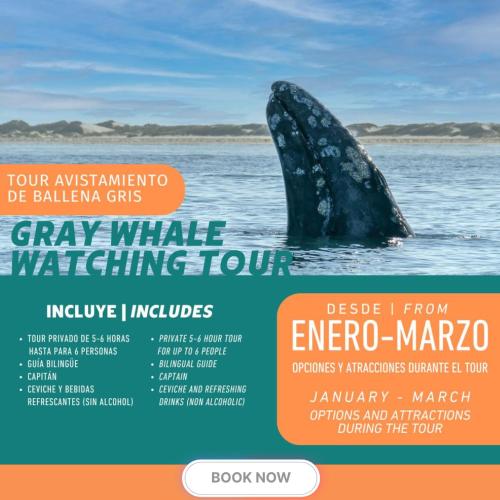 Puerto San Carlos Bay House & Tours 1st & 2nd Floor — 4-Star Luxury Hotel in San Carlos, Mexico