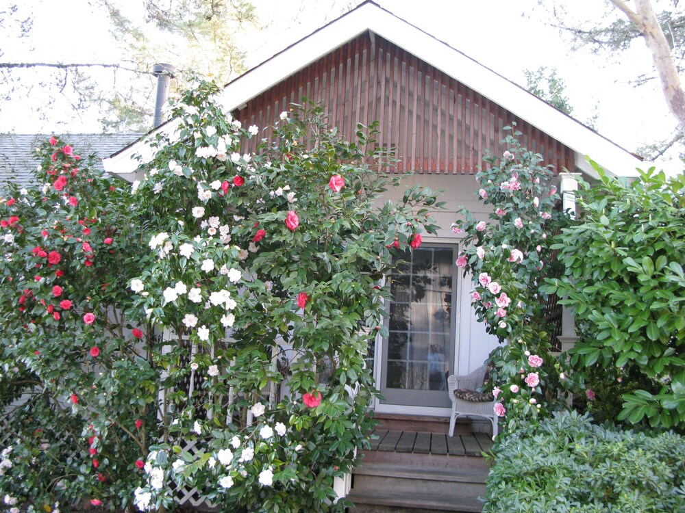 Belle de Jour Inn - photo 20