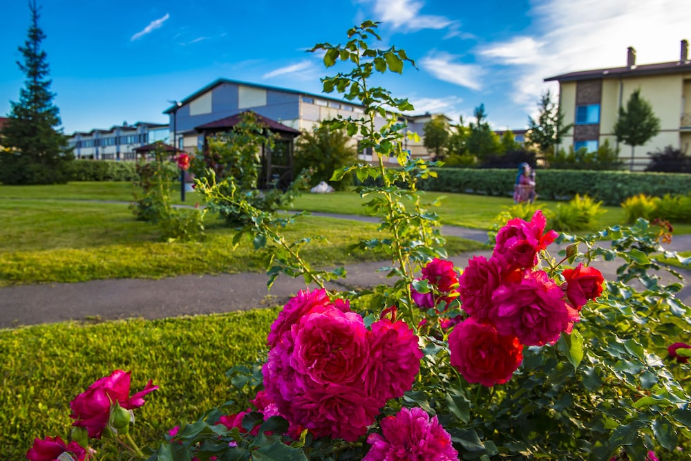 Hotel Pokrovskoe Divnoe in Istra, Russia
