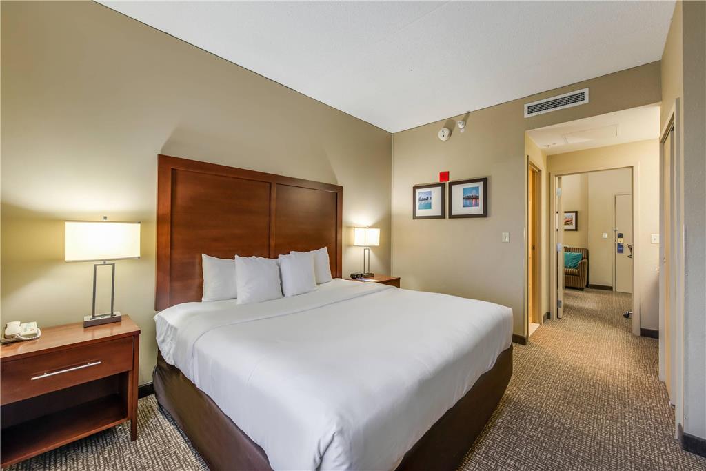 Comfort Suites Chicago O'Hare Airport - photo 12