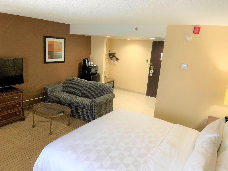 Holiday Inn & Suites Chicago Carol Stream by IHG - photo 16