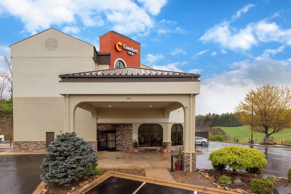 Comfort Inn North of Asheville - photo 70