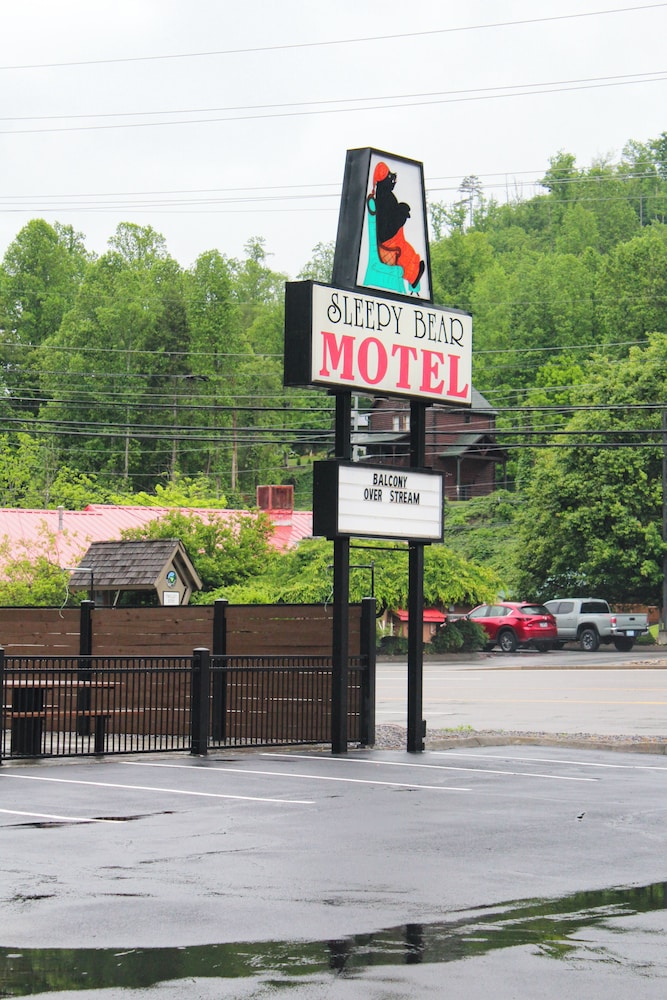 Sleepy Bear Motel - photo 15