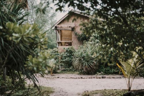 Kactus Your Island Sanctuary in Sihanoukville, Cambodia