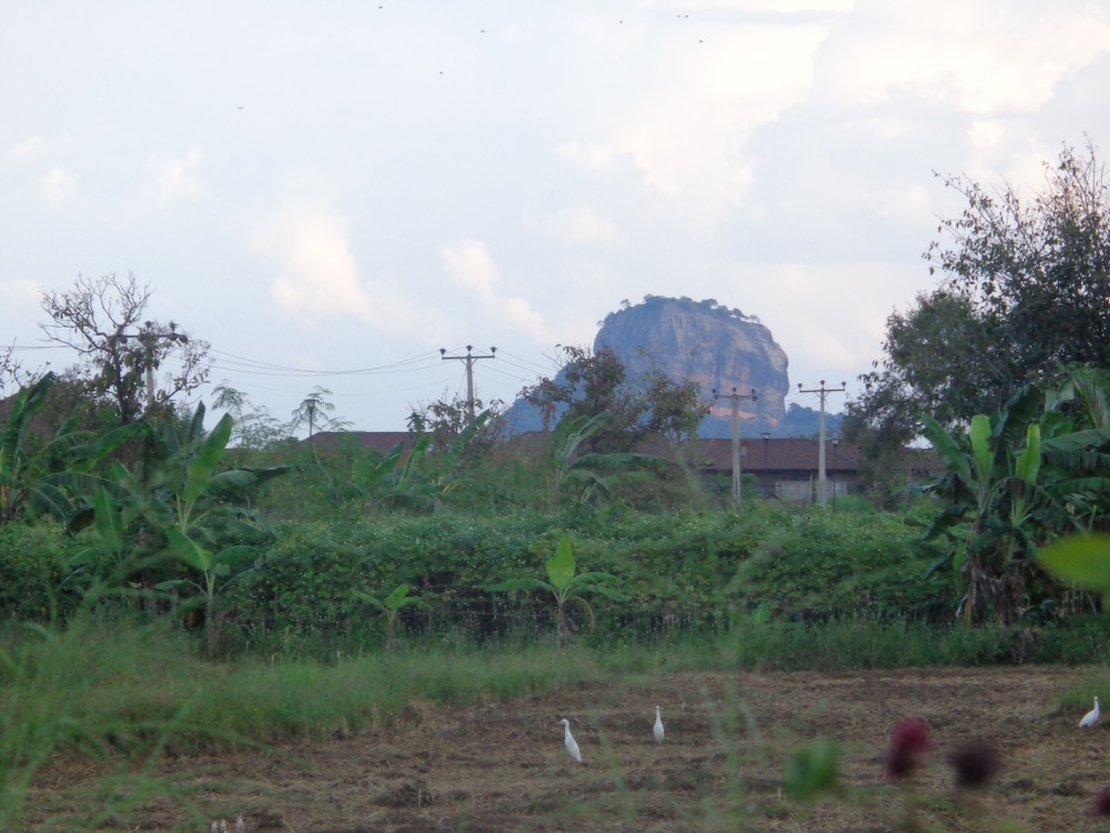 Sigiriya vista in Dambulla, Sri Lanka