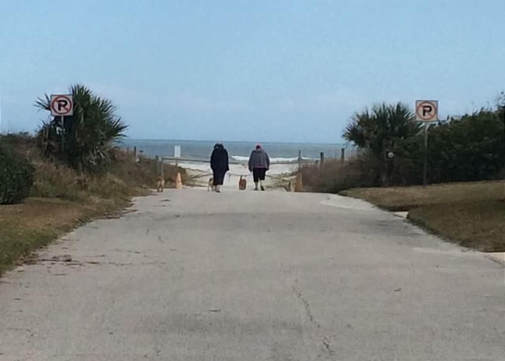 Surf Side - photo 23