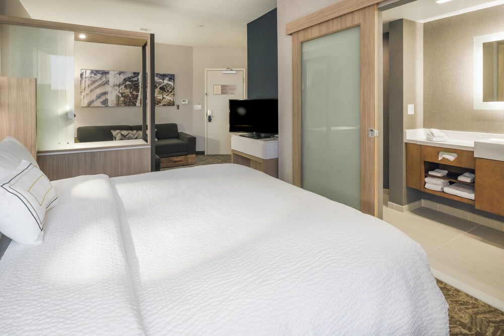 SpringHill Suites by Marriott Fishkill - photo 9