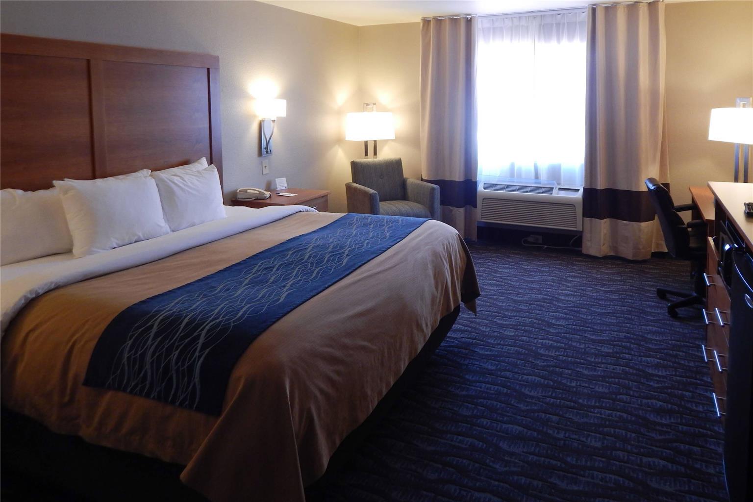 Comfort Inn & Suites Las Cruces Mesilla - photo 3