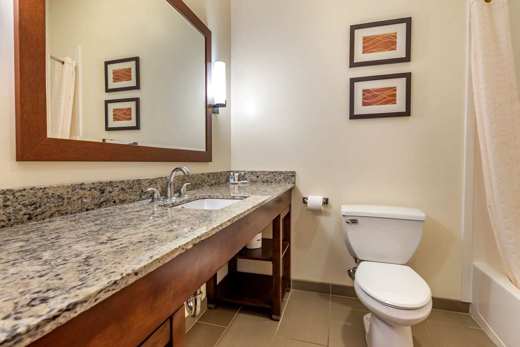 Comfort Inn Apalachin Binghamton W Route 17 - photo 25