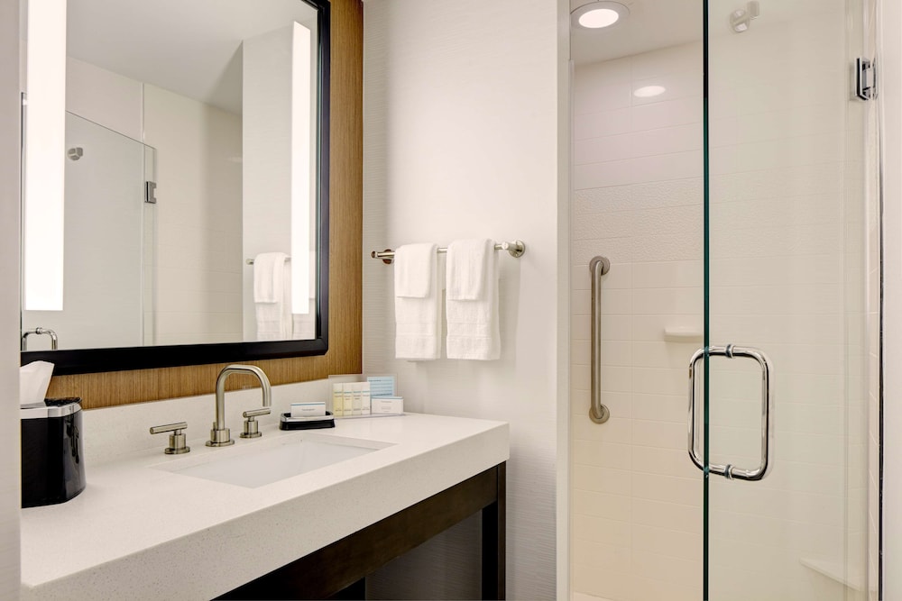 Hampton Inn Brooklyn Downtown - photo 17