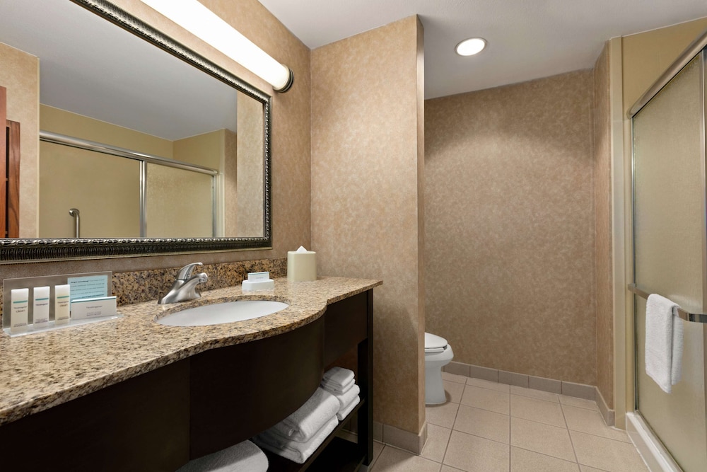Hampton Inn & Suites Lawton - photo 15