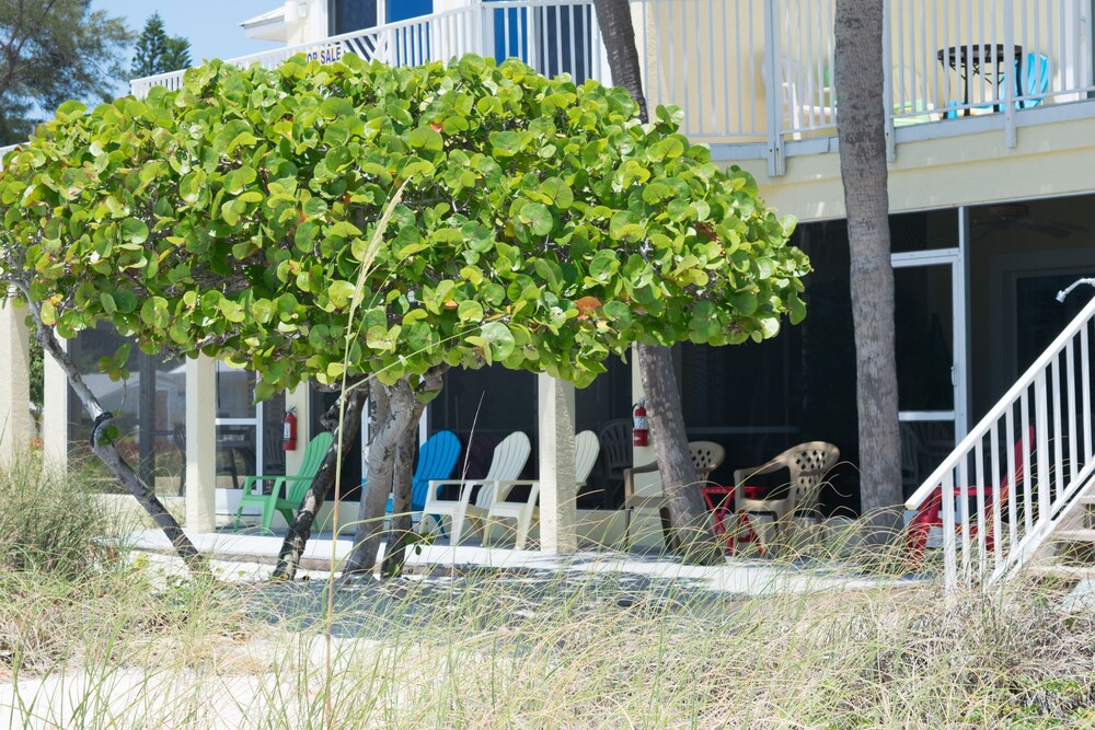 Beach House Resort 3 by RedAwning - photo 18