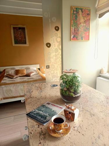 Apartament Cesarski — Cieszyn — photo 3