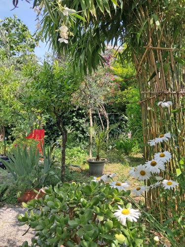 Room With A Garden — Milan