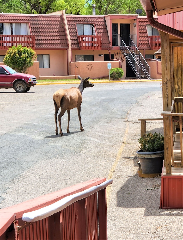 Pinecliff Village Resort - photo 42