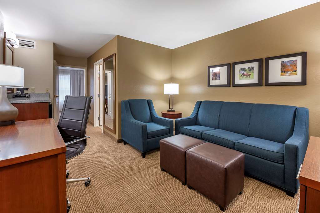 Comfort Inn & Suites Northern Kentucky - photo 30