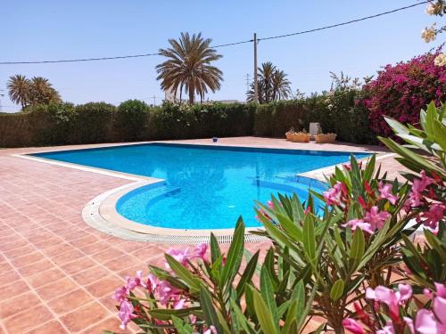 Appartement Avec Piscine — 4-Star Luxury Hotel in Houmt El Souk, Tunisia