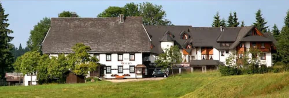 Gasthof Kreuz am Escheck — hotel in Furtwangen