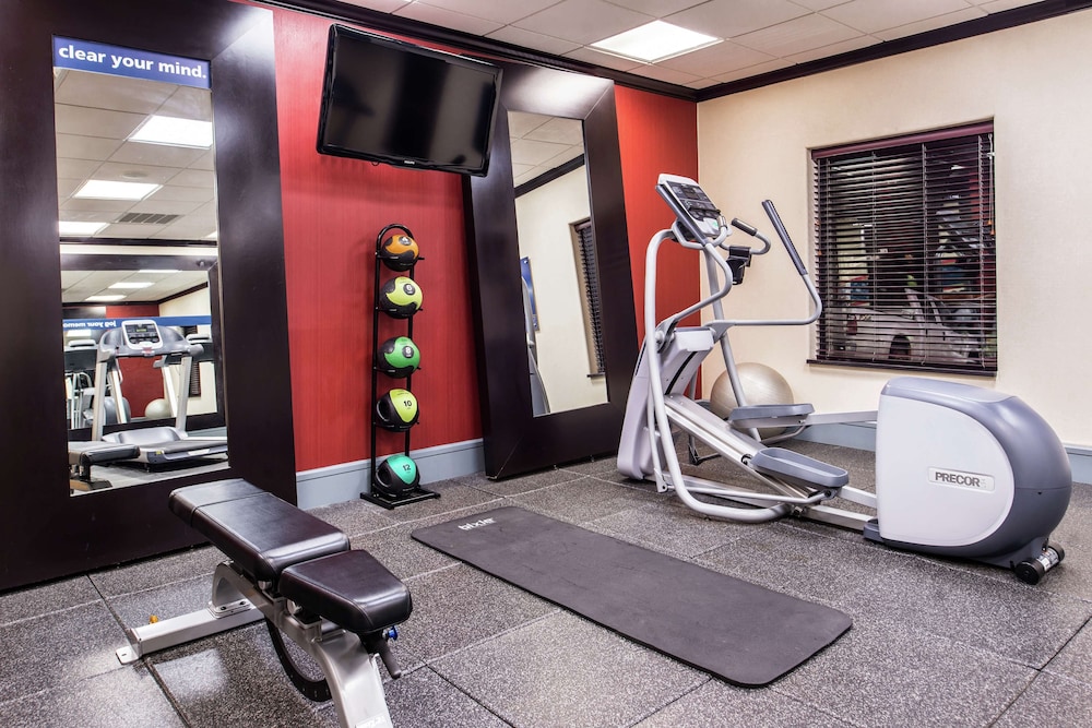 Hampton Inn & Suites Big Spring - photo 47