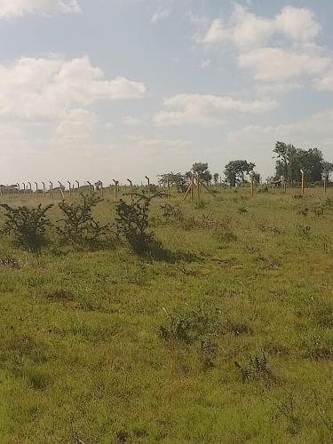 Juja Farm Doubles - last minute hotel in Unknown City